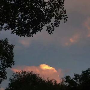 亚洲国产aⅴ精品一区二区高清
